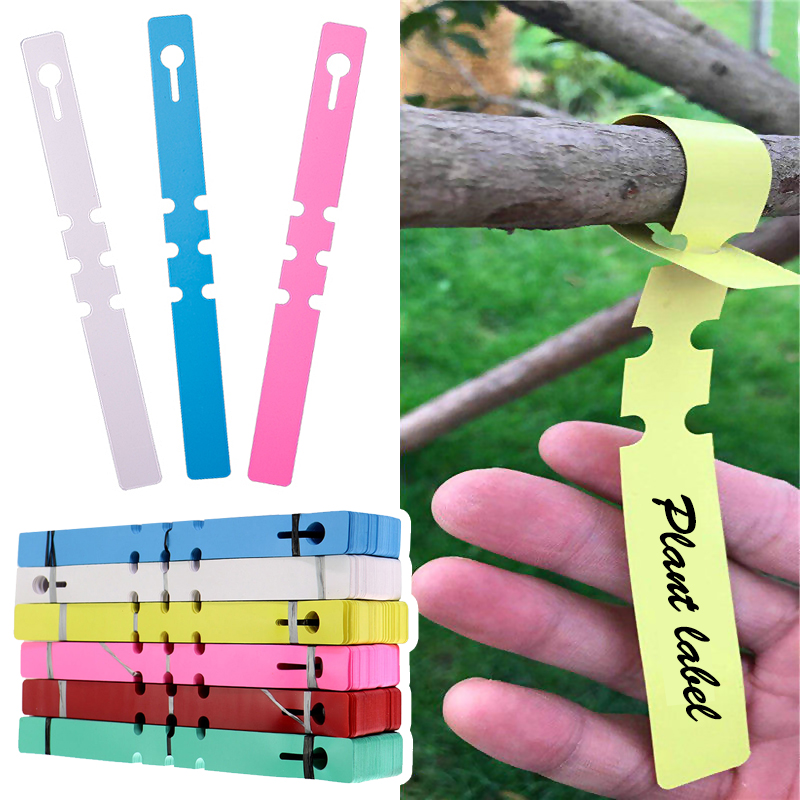 50pcs Waterproof Plant Markers - Gardening Tools Labeled recension och pris