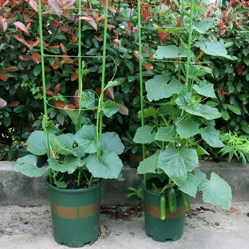 45cm Plant Support Plant Stake - Gardening Tools Range recension och pris