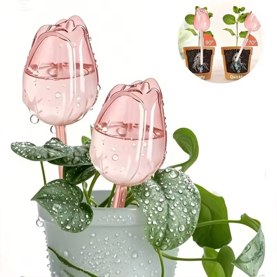 Transparent Thick PET Tulip Sh - Gardening Tools And Equipment recension och pris
