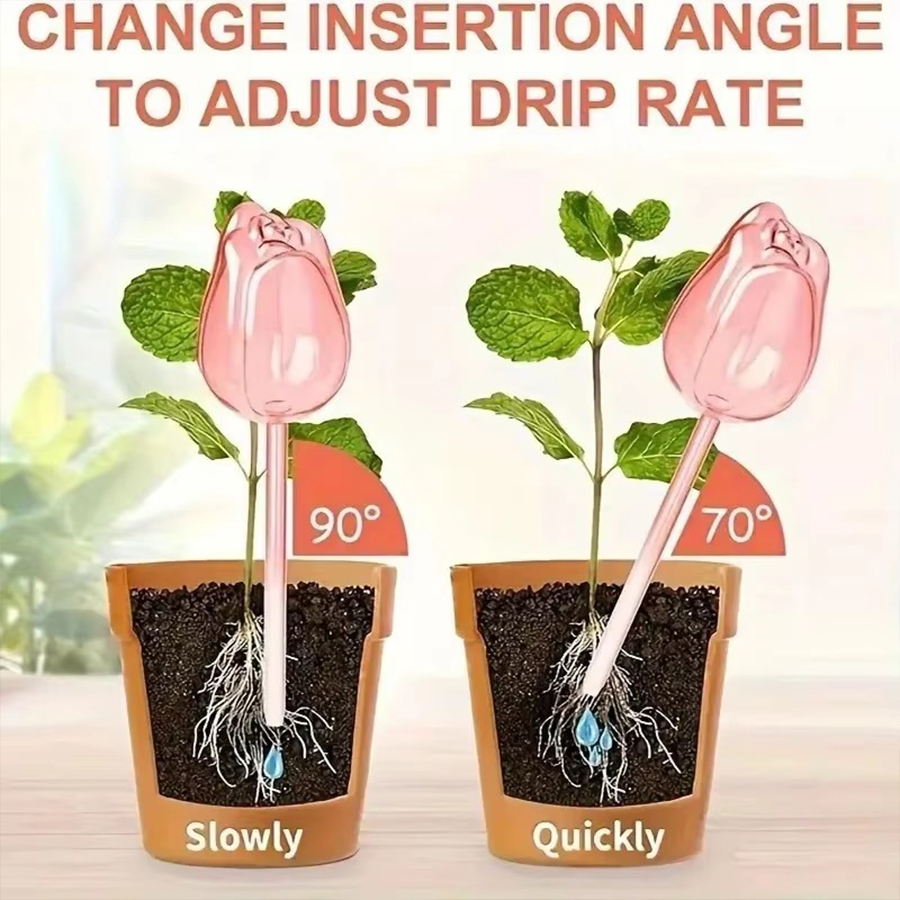 Transparent Thick PET Tulip Sh - Gardening Tools And Equipment recension och pris