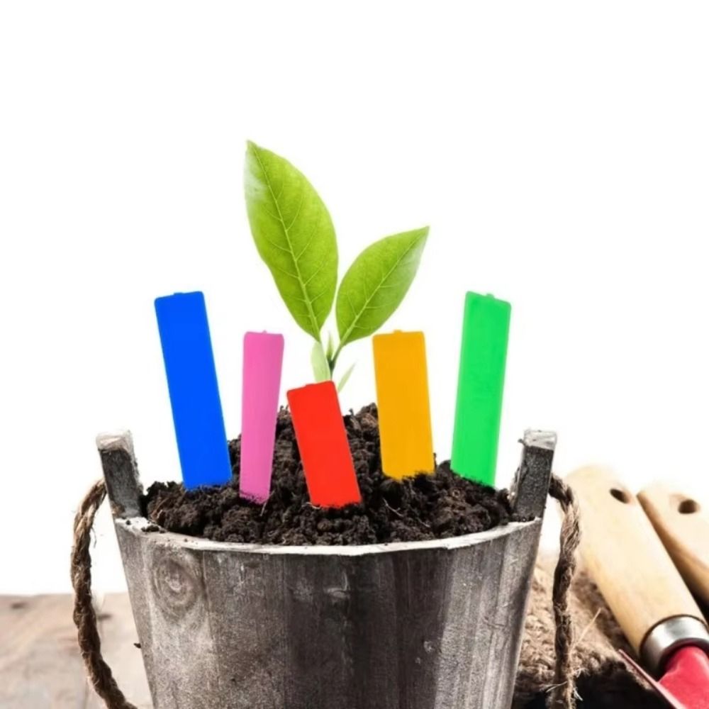 100Pcs Plastic Material Plant  - Gardening Tools Labeled recension och pris