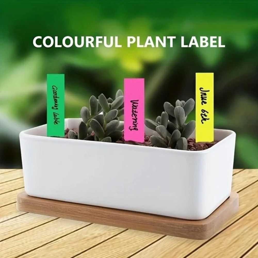 100Pcs Plastic Material Plant  - Gardening Tools Labeled recension och pris