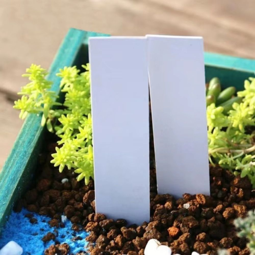 100Pcs Plastic Material Plant  - Gardening Tools Labeled recension och pris