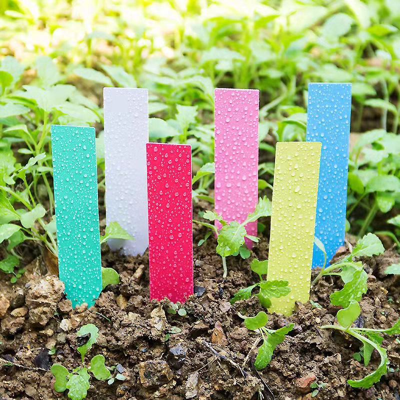 100Pcs Garden Plant Labels Pla - Gardening Tools Labeled recension och pris