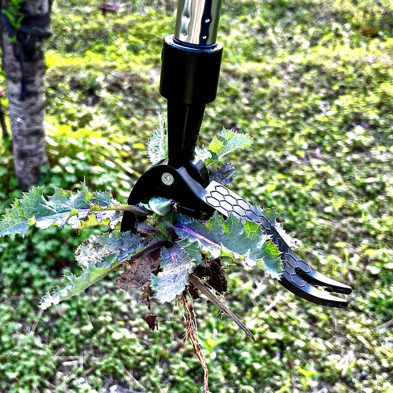 Save Labour Hand Metal Weed Ex - Gardening Tools You Need recension och pris
