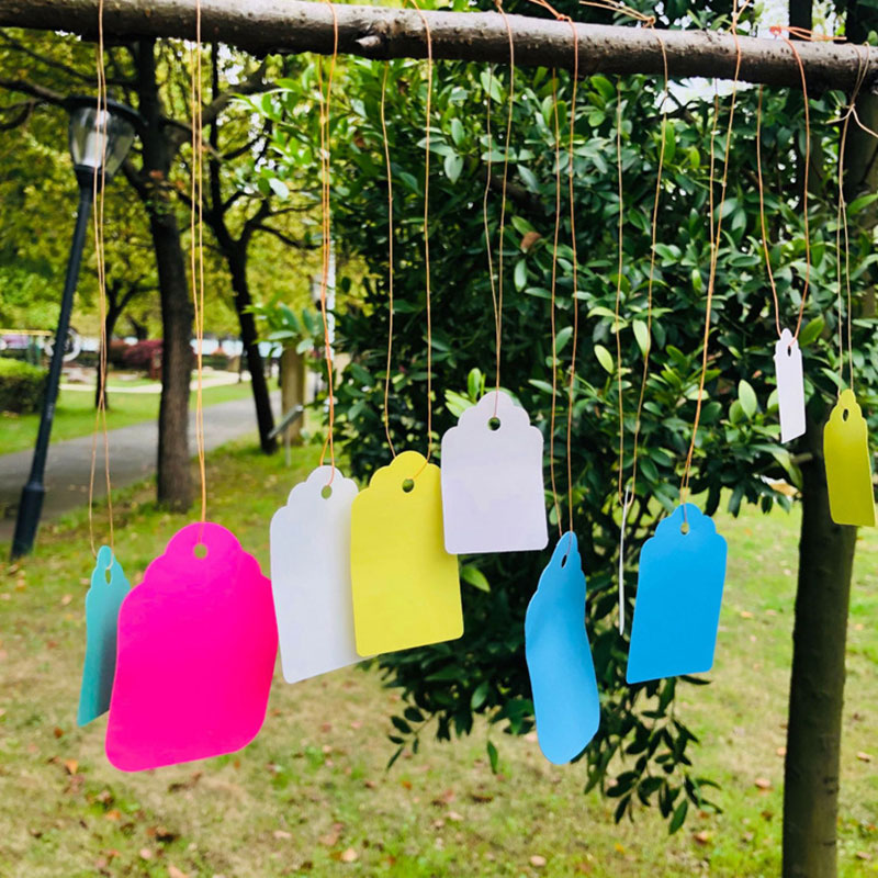 100pcs Plant Labels With Rope  - Gardening Tools Labeled recension och pris