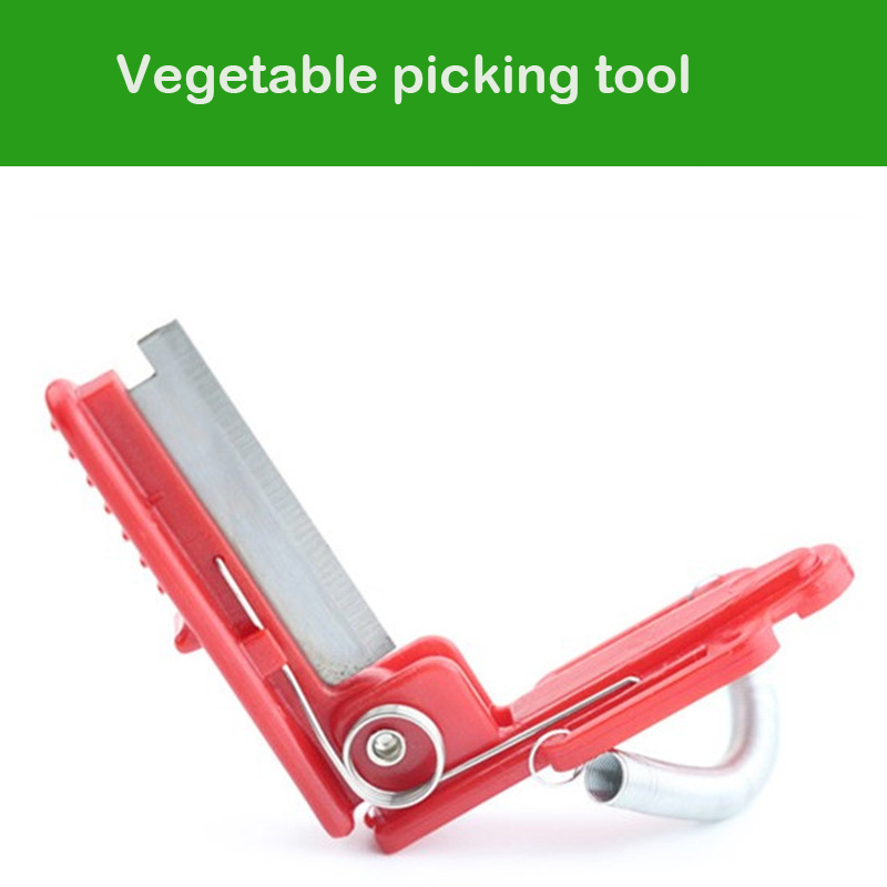 Knife Separator Vegetable Frui - Gardening Tools Youtube recension och pris