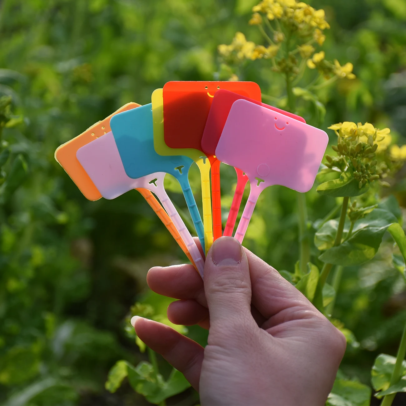 50PCS Waterproof Garden Plant  - Gardening Tools Labeled recension och pris