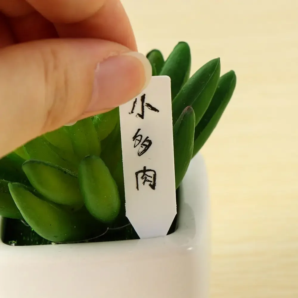 100Pcs Reusable Classification - Gardening Tools Labeled recension och pris
